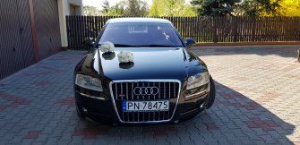 Audi A8 Konin i okolice