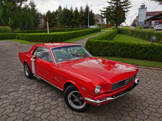 Mustang 1966 do ślubu  Bielsko-Biała