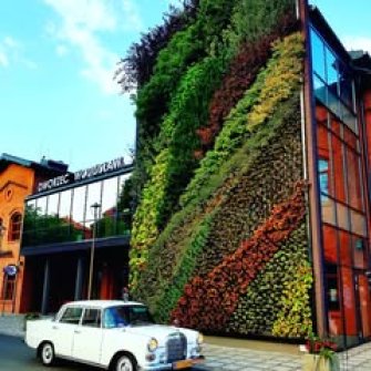 Mercedes W110 "Skrzydlak"  Rybnik