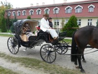 Bryczka na ślub - Stanisław Rudkiewicz Wrocław