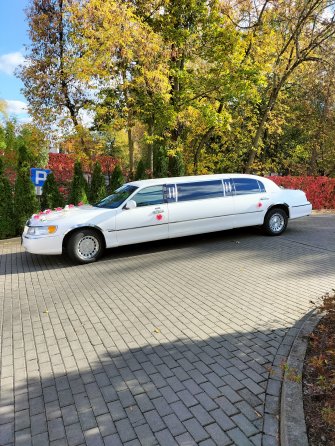 Limuzynarypin kujawsko-pomorskie Rogowo 