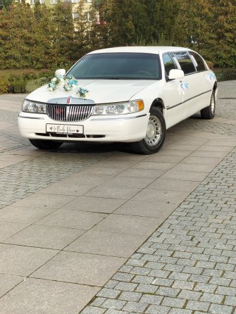 Limuzynarypin kujawsko-pomorskie Rogowo 