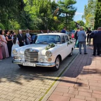 Mercedes W110 "Skrzydlak"  Rybnik