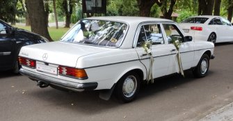 Mercedes W123 Sandomierz
