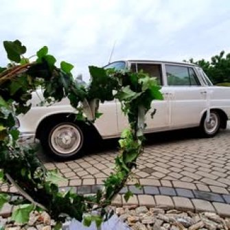 Mercedes W110 "Skrzydlak"  Rybnik