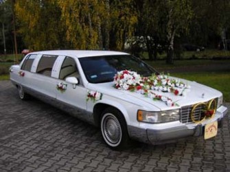 Afekt-Limo Robert Badowski Szczecin