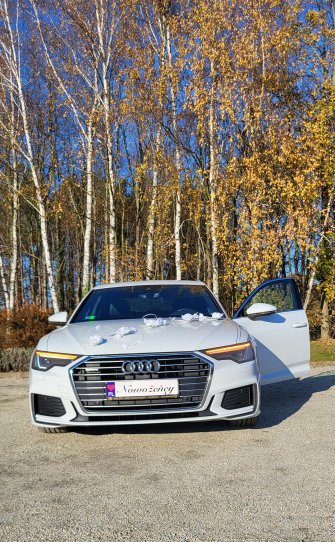 Audi na wesele tel. 519 813 274  Zielona Góra
