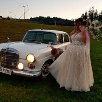 Mercedes W110 "Skrzydlak"  Rybnik