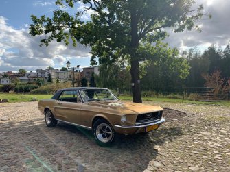 Mustang złoty Gdańsk