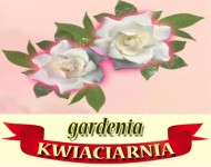 kwiaciarnia Płock