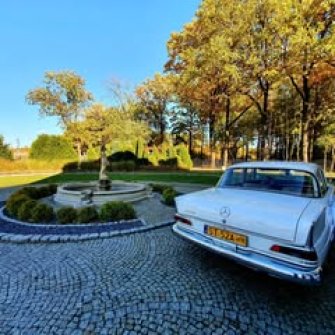 Mercedes W110 "Skrzydlak"  Rybnik