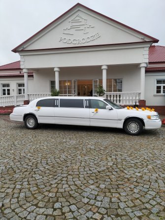 Limuzynarypin kujawsko-pomorskie Rogowo 