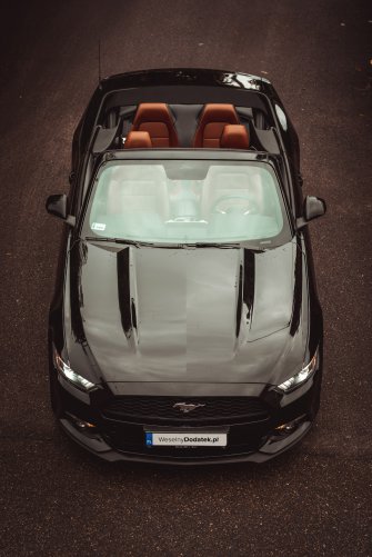 Ford Mustang Cabrio do ślubu. Sam lub z Kierowcą! | WeselnyDodatek.pl Gdańsk
