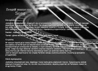 Zespół muzyczny Song Ruda Śląska