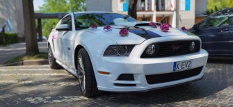 Ford Mustang GT do ślubu, biały | terminy 2022 Inowrocław