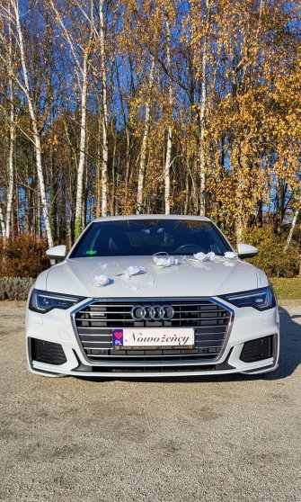 Białe Audi Lux Limuzyna Tel.519 813 274  Zielona Góra