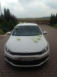 Biały Volkswagen Scirocco Wrocław