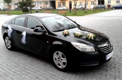 OPEL INSIGNIA Włocławek