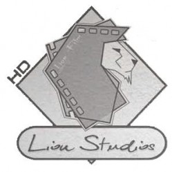 LionStudios HD Rzeszów