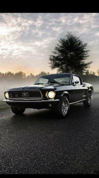 Mustang 67 Limanowa