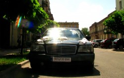 semax Radom