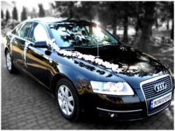 Audi A6 do ślubu DĘBICA/TARNÓW Dębica