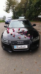 Piękne Audi a5 - dla Vipów Kraków 2015 kraków