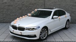 Auto do ślubu Będzin