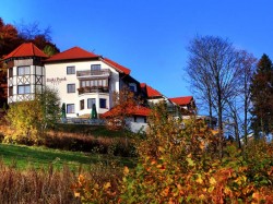 Hotel DZIKI POTOK*** Karpacz