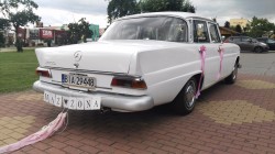MERCEDES SKRZYDLAK DO ŚLUBU Łapy
