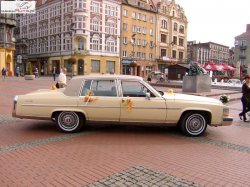 Cadillac Fleetwood - wyjątkowe auto do ślubu Bytom