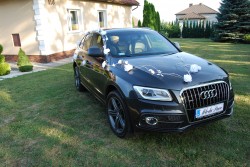 Audi Q5 lift S-line do ślubu KRAKÓW Kraków