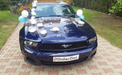 Auto do ślubu: MUSTANG, BMW, MERC-SLK Lublin