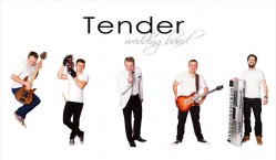 Zespół Tender Band Dębica