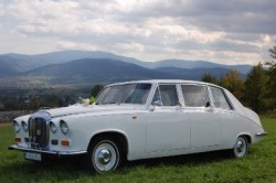 Daimler DS420 do ślubu - Żywiec Bielsko Żywiec