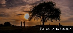 Fotograf ślubny Wojtynaryszard.pl Leżajsk
