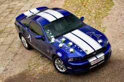 Sportowy Ford Mustang na Twoim Ślubie - American Dream ! Żary