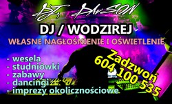 DJ / WODZIREJ DAvSON Luboń