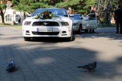 foto-video Warszawa