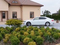 Biała Skoda Superb III Płock