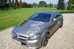 Auta do ślubu Mercedes-Benz CLS350 AMG i Nissan Titan Żory