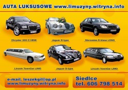 Chrysler 300C BENTLEY, Kabriolet zabytkowy Nestor Baron do ślubu Węgrów