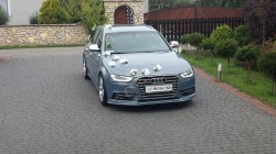 wynajem samochodu na ślub Rogów