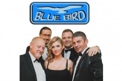 BLUE BIRD Bydgoszcz