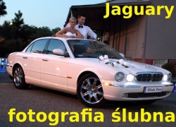 Przepiękne Jaguary do ślubu Sosnowiec