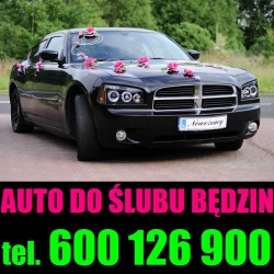 Auto do ślubu Będzin Będzin