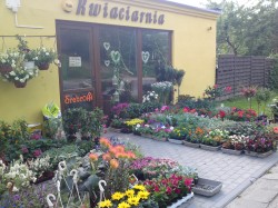 Kwiaciarnia Soraja w Bytowie Bytów