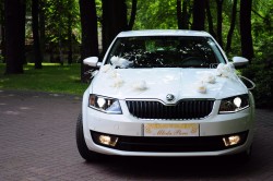 Najnowszy model skoda octavia Katowice