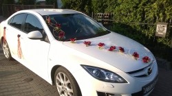 Biała Mazda 6 Toruń