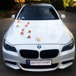 Białe BMW serii 5 M Pakiet Brodnica